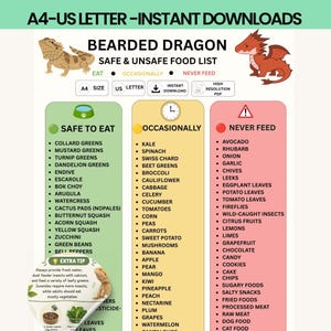 Bearded Dragon Food List Printable PDF, Safe & Toxic Foods Chart, Reptile Feeding Guide, Beardie Care