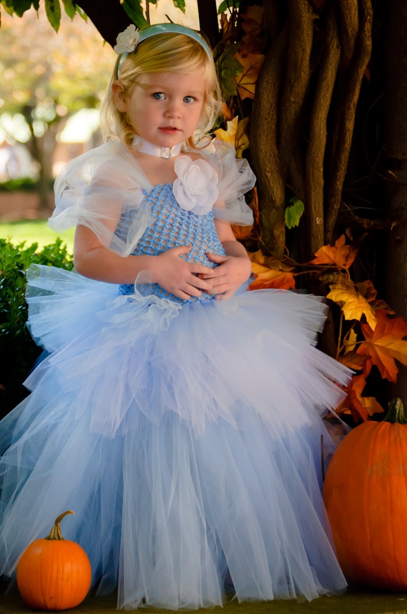 Cinderella Tutu Costume sizes 12-18m 18-24m 2t 3t 4t 5t | Etsy