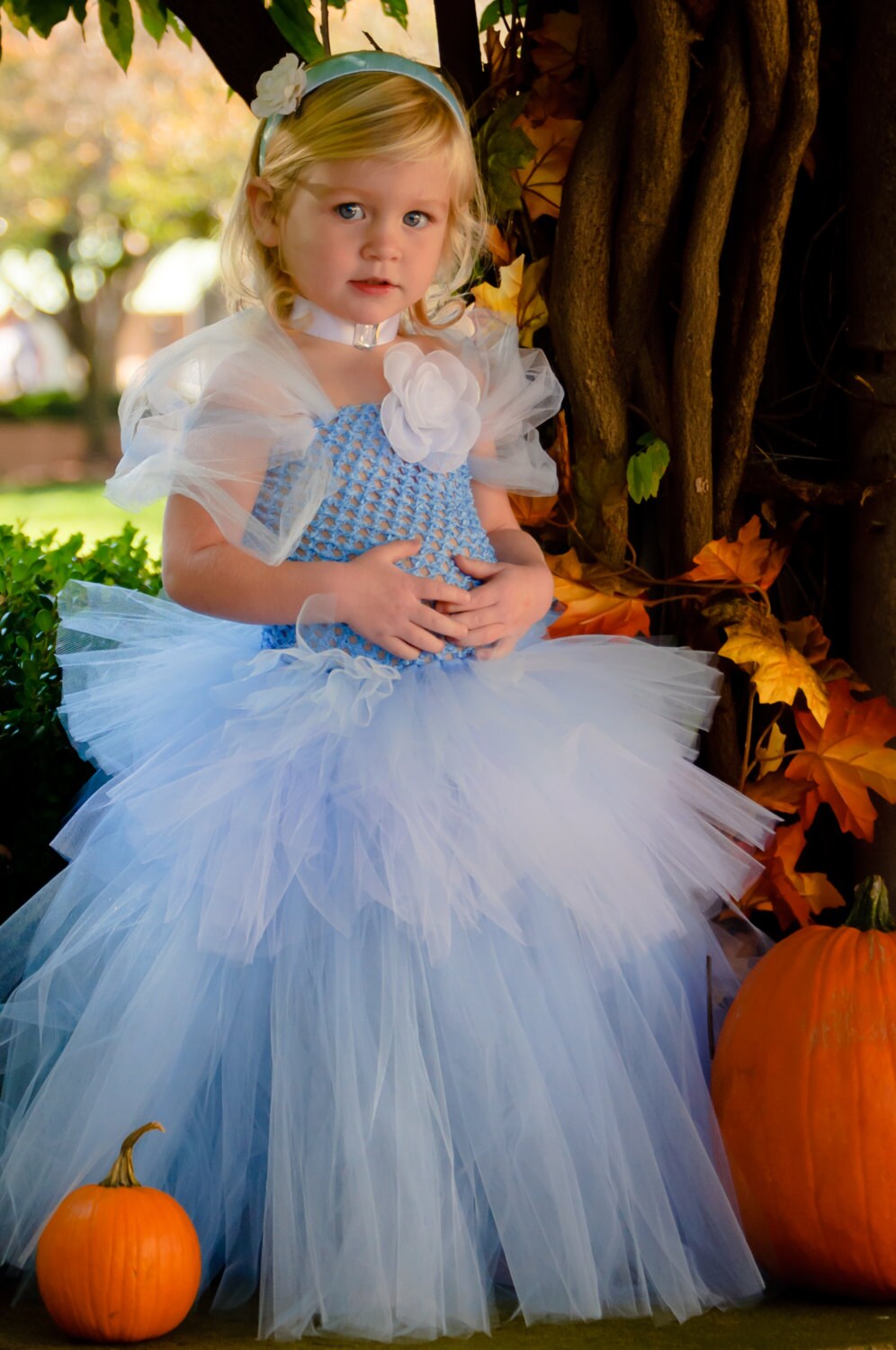 cinderella dress 5t