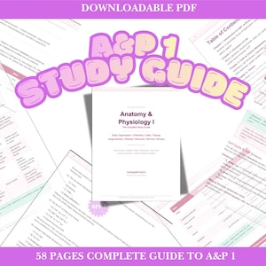 May include: A&P 1 Study Guide, a downloadable PDF, features the title "Anatomy & Physiology I" on a white cover. The guide includes 58 pages and is surrounded by other study pages with pink and green accents.