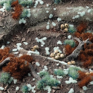May include: A miniature diorama base featuring dark brown soil, textured tree roots, and scattered clusters of small beige skulls. The terrain is decorated with patches of vibrant rust-coloured moss, tufts of green grass, and small white foliage.