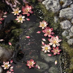 Peut inclure: Une scène sereine avec un petit étang orné de fleurs de lotus roses et blanches flottantes. Des pierres grises et de la mousse verte bordent les rives, créant une esthétique naturelle et zen. Des pétales dérivent à la surface de l'eau.