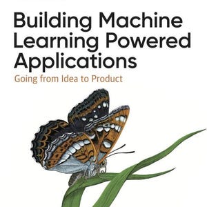 Entwicklung von Anwendungen mit maschinellem Lernen (PDF-Buch), Leitfaden von der Idee zum Produkt, ML-Systementwicklung, Fallstudie, 308 Seiten, PDF-Download
