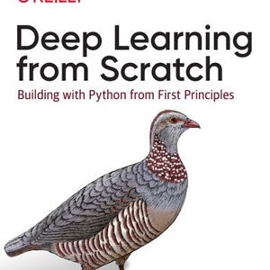 Djupinlärning från grunden: Guide till neurala nätverk i Python (PDF-nedladdning)