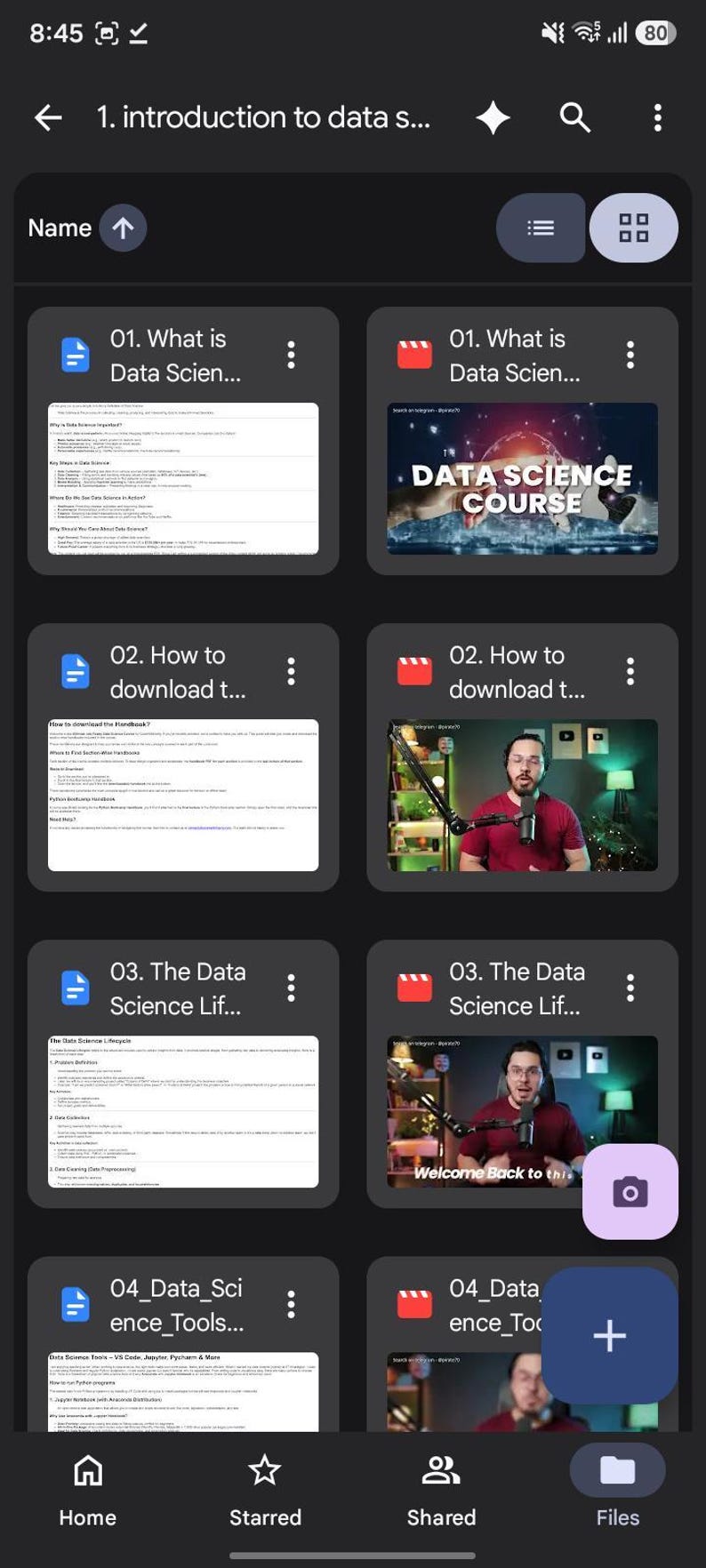 K&ouml;nnte beinhalten: Eine mobile App-Oberfl&auml;che mit einer Liste von Bildungsdateien zum Thema Data Science. Der Bildschirm zeigt Dokumentensymbole und Videovorschaubilder mit Titeln wie 01. What is Data Science, 02. How to download, 03. The Data Science Lifecycle und 04. Data Science Tools.