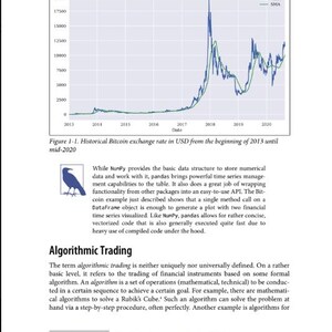 以下が含まれることがあります： 「Algorithmic Trading」というタイトルの技術書のページ。2013年から2020年までの歴史的なBTC/USD為替レートを示す折れ線グラフ、小さなカラスのイラスト、データ構造と取引に関する説明文が記載されています。
