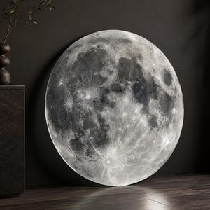 Puede incluir: Una gran obra de arte mural redonda que representa la superficie de la luna. La obra es predominantemente gris y blanca, con cráteres y texturas detalladas. Se apoya contra una pared oscura, creando un contraste dramático.