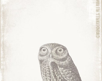 Owl Woodcut Bird Series Brown on Linen Large 16" x 20" Canvas-Wrapped Frame: Burrowing Owl