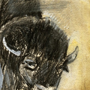 May include: A black and white charcoal drawing of a bison's head with a textured background.