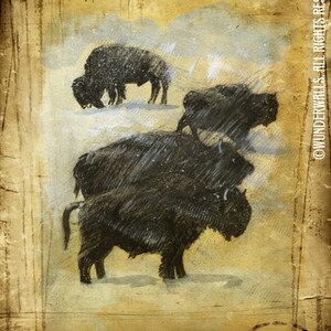 May include: A vintage illustration of a herd of bison in a snowy landscape. The bison are depicted in a dark charcoal color against a light background. The image has a textured, aged look, suggesting it is an antique print.