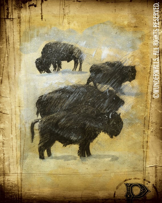 Bison Herd Buffalo Charcoal Pencil on Gold Brown Antique Paper Large 16" x 20" Canvas-Wrapped Frame: Bison Herd