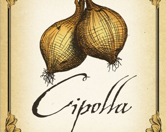 Onion Kitchen Vegetable Large 16" x 20" Canvas-Wrapped Frame: Manga Italiano (Cipolla)