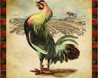 Rooster Vintage Woodcut Antiqued Paper Large 20" x 20" Canvas-Wrapped Frame: In the Farmyard Series (Four)