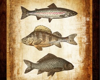 Trout Carp Fishing Trip Print for Den Walls 14" x 16" Canvas-Wrapped Frame: Man Cave Series