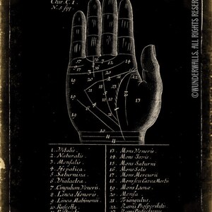 Palm Reading Art Print Fortune Teller Old Woodcut Life Lines Large 16" x 20" Canvas Wrapped Frame Series: Main Hand Lines Map Image
