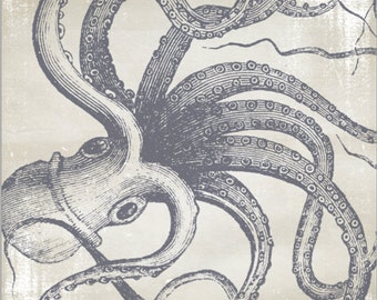 Octopus Art Print of Cephalopod on Antique Paper 16" x 20" Canvas-Wrapped Frame