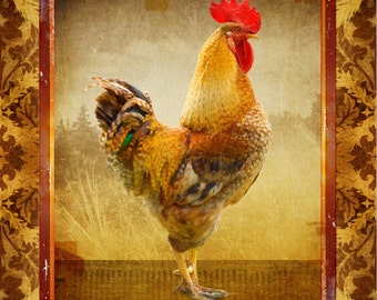 Rooster Chicken Gold Brown Large 16" x 20" Canvas-Wrapped Frame: Rooster Four