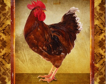 Rooster Rhode Island Red Chicken Brown Gold Large 16" x 20" Canvas-Wrapped Frame: Rooster Two