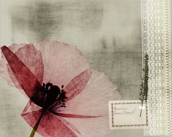 Weathered Pressed Poppy: 16" x 20" Canvas-Wrapped Frame