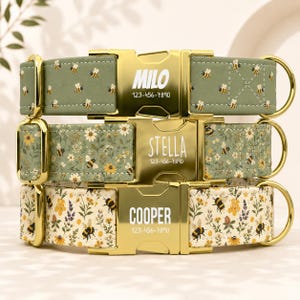 May include: Three pet collars with gold-tone metal buckles. The top collar is sage green with a bee pattern and the name MILO. The middle collar features a floral and bee print with the name STELLA. The bottom collar has a cream floral bee pattern and the name COOPER. Each buckle displays a phone number.