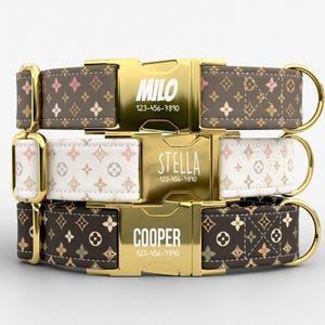 Floral Monogram Dog Collar with Leash: Personalized metal buckle, made in the USA, TPWP-52