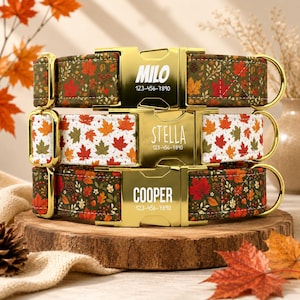 May include: Three dog collars featuring autumn leaf patterns and gold-tone metal buckles. The top collar is dark green with red and orange leaves, labeled MILO 123-456-7890. The middle is white with colorful leaves, labeled STELLA 123-456-7890. The bottom is dark green, labeled COOPER 123-456-7890.