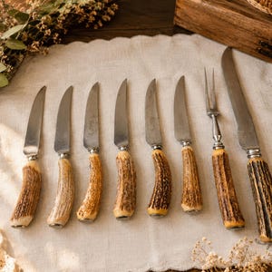 May include: A set of eight pieces of cutlery featuring silver-toned metal blades and tines with textured, brown, natural-looking antler-style handles. The collection includes six small knives, one two-pronged carving fork, and one large carving knife.