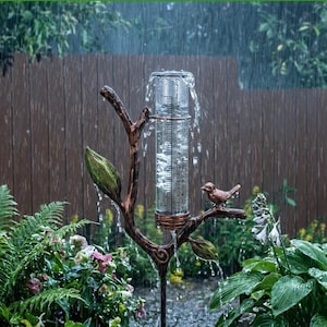May include: A decorative rain gauge with a bronze-coloured metal frame shaped like a tree branch, featuring a small bird perched on a twig. The clear glass tube measures rainfall, with water cascading over the top. The gauge is surrounded by lush green plants.