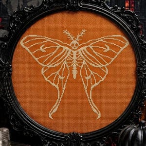 Pode incluir: Um bordado em ponto cruz apresentando um design de esqueleto de mariposa na cor creme centralizado em um fundo de tecido laranja vibrante, envolto em uma moldura preta oval ornamentada com detalhes decorativos complexos nas bordas.