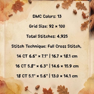 May include: A cross stitch pattern information sheet featuring text: DMC Colors: 13, Grid Size: 92 x 100, Total Stitches: 4,925, Stitch Technique: Full Cross Stitch, 14 CT 6.6" x 7.1", 16 CT 5.8" x 6.3", 18 CT 5.1" x 5.6" on a parchment background.