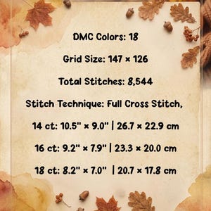 May include: A cross stitch pattern information sheet featuring 18 DMC colors, a 147 by 126 grid, and 8,544 total stitches. It lists dimensions for 14 ct (10.5 by 9.0 inches), 16 ct (9.2 by 7.9 inches), and 18 ct (8.2 by 7.0 inches) fabric.