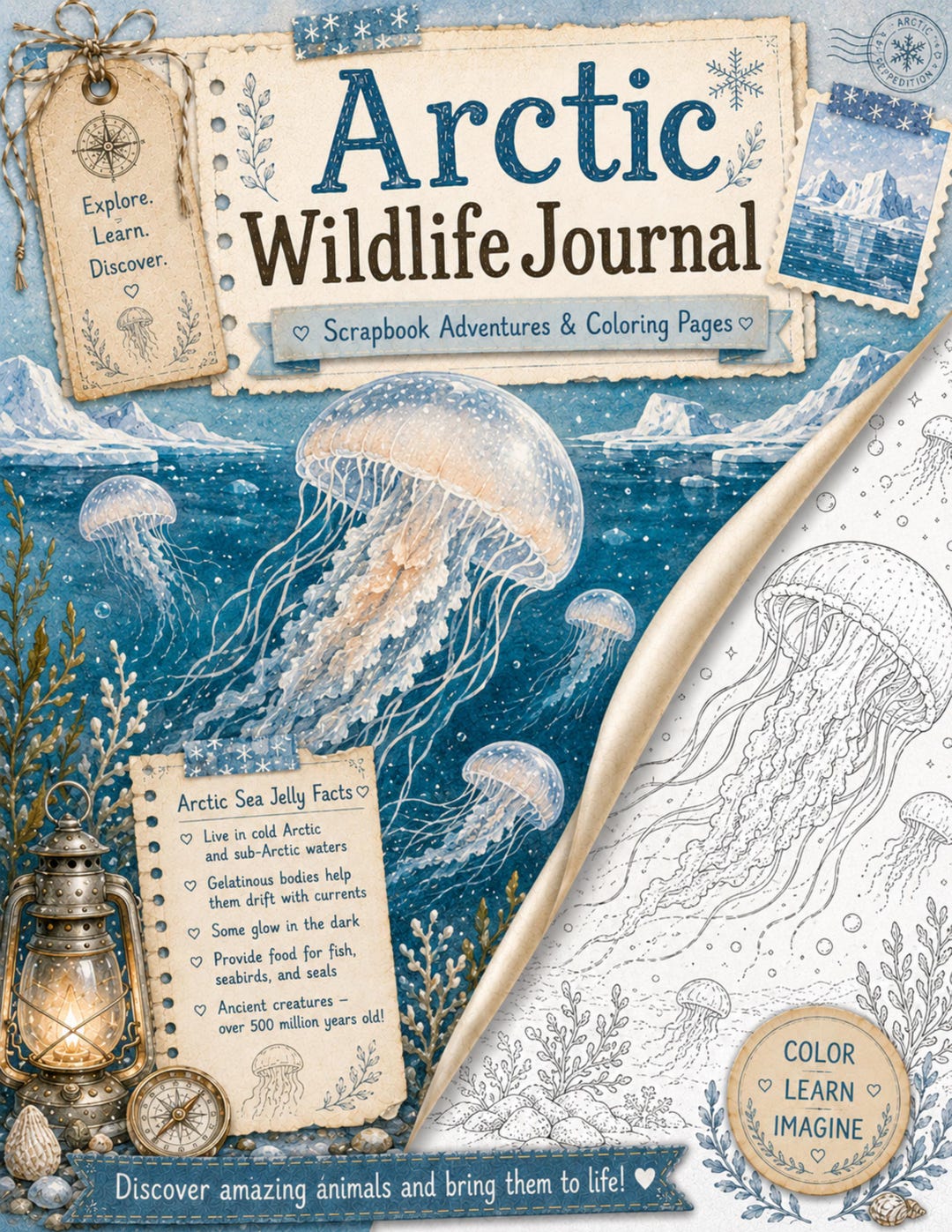 Arctic Coloring Pages for Kids - Nature Study PDF - Etsy