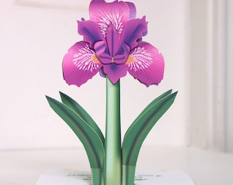 Pop up Irises card Purple Iris pop-up card Any occasion card