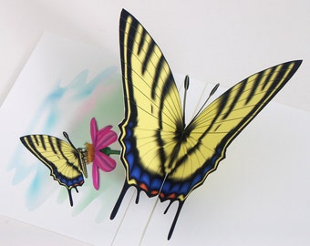 Butterfly Pop up Card Tiger Swallowtail Butterfly Any occasion card Personalize this card