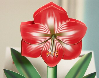 Valentines Day Card Pop-up Amaryllis card