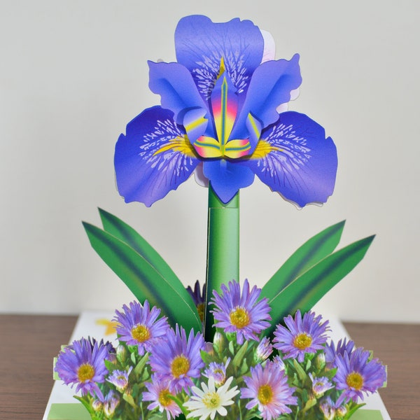 Pop up Irises Flower card Blue Iris pop-up card Any occasion card Blue purple and white irises