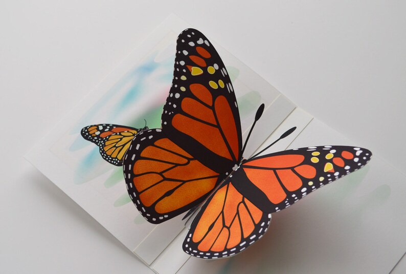 Monarch Butterfly Pop-up Card Any Occasion Card Orange Monarch ...