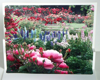 Pop up Card Rose Garden Any Occasion card Roses and Delphinium