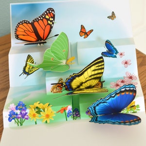 Butterfly pop-up Card  Any occasion card Four pop-up butterflies bright and beautiful butterflies