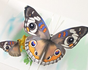 3D Buckeye Butterfly Pop up Card Any occasion Card