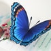 3D Blue Butterfly pop-up Card  Any occasion card Personalize this card 