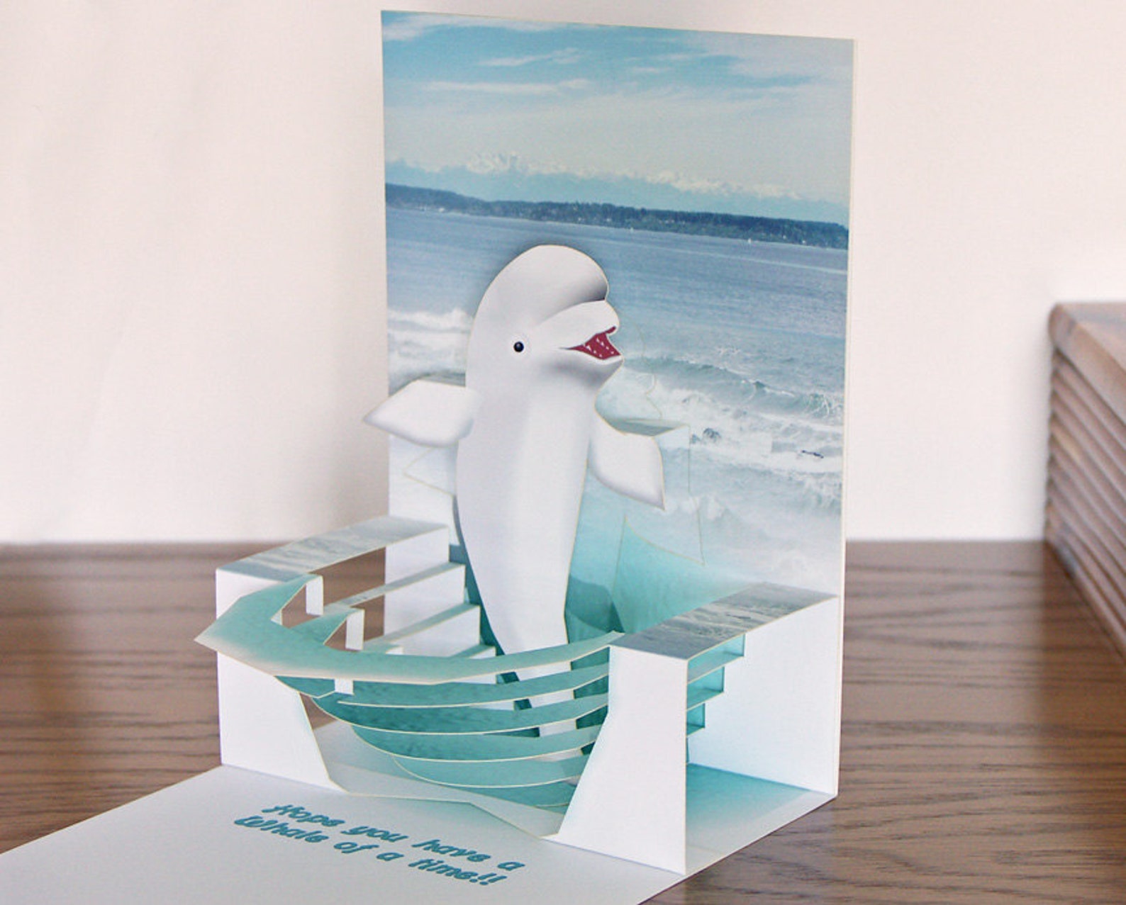 Pop up Birthday Beluga Whale card Whale of a time Etsy