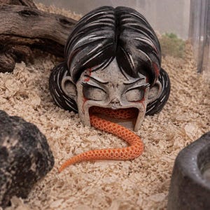 Horror Girl Head Reptile Hideout | FDM 3D Printed Terrarium Decor, Snake Lizard Gecko Shelter, Halloween Tank Ornament