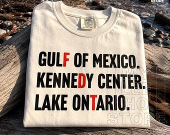 FDT PNG SVG, Gulf of Mexico Kennedy Center Lake Ontario Design, Hidden Political Protest Quote, Anti Trump Typography (Digital Download)