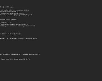 初心者向けPython推測ゲームのソースコード｜編集可能なスクリプト（デジタルダウンロード）
