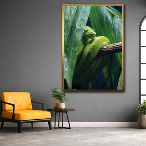 May include: A framed print featuring a vibrant green snake coiled on a branch, partially obscured by lush green leaves. The artwork has a gold frame and is set against a dark background. Water droplets are visible on the leaves, adding detail.