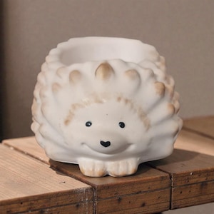 May include: A white ceramic planter shaped like a hedgehog with a rounded body, textured spines, and a small open top. The hedgehog features a painted face with two black eyes, a small black heart-shaped nose, and light brown shading on the spines.