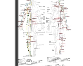 Corps humain Standard méridien d'acupuncture Massage point d'acupuncture carte carte murale affiche toile impression peinture photo art mural cadeau salon