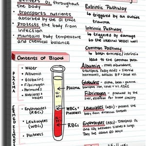 May include: Educational poster about blood, with handwritten notes and diagrams. The poster includes sections on blood functions, blood clotting, and the contents of blood, including plasma and formed elements like red and white blood cells. The poster is on a white background.