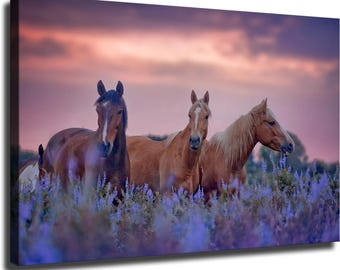 Horses in Purple Flowers Field Canvas Print – Animal Wall Art Decoration